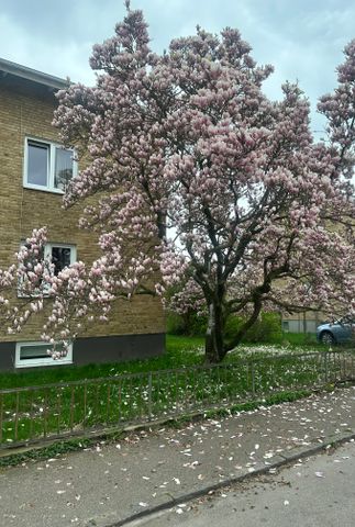 Abc-gatan, Halmstad - Photo 5