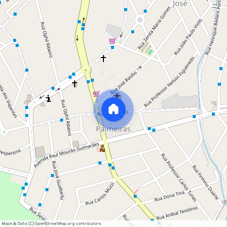 Palmeiras, Belo Horizonte, MG, 30575380