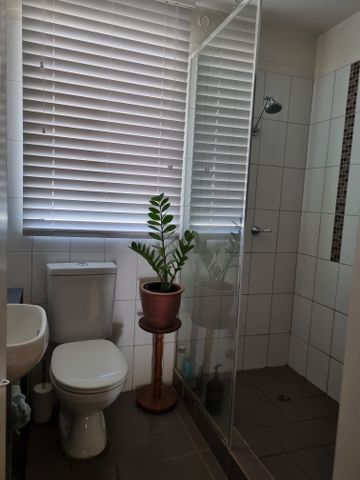 Coconut Grove - Photo 4