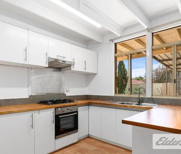 The Place to be This Summer! - Photo 4