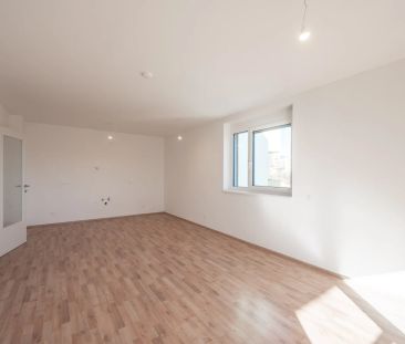 VIDEOTOUR: freundliche, helle 3 Zimmer Erstbezugswohnung + Balkon +... - Photo 4
