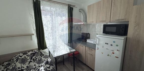 Apartament cu 1 camere de inchiriat in zona Andrei Muresanu - Fotografie 2
