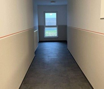 Perfekte Neubauwohnung mit Terrasse und moderner Ausstattung im Ers... - Foto 6