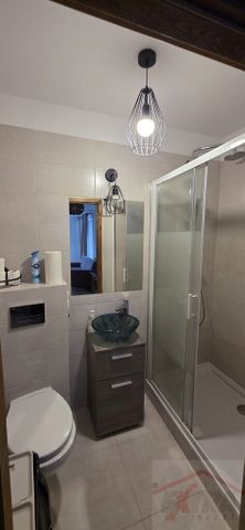 MIESZKANIE na WYNAJEM SZCZECIN (437882) - Photo 3