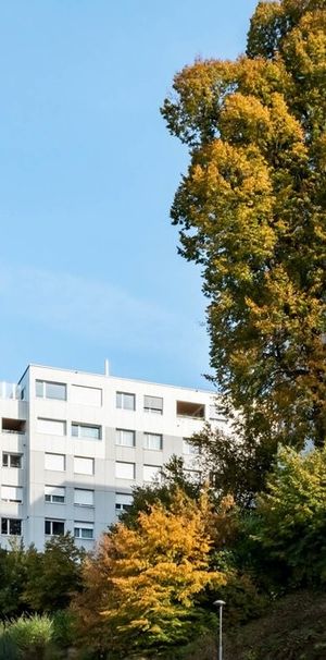 Stadt und Natur - ein Widerspruch? Nicht an dieser Wohnlage - Foto 1