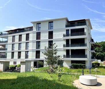 «Baumpark» Wohnen in parkartiger Landschaft in Pfäffikon ZH - Foto 1