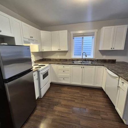 1-Bed, 1 Bath Lower Suite – Available Feb 01, 2025 - Photo 3