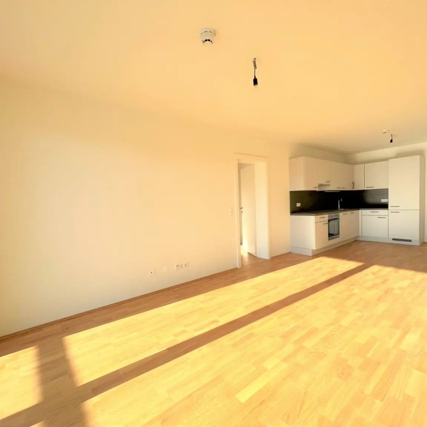 SonnigeTerrassenwohnung in Top-Lage I Abendsonne inklusive! - Photo 1