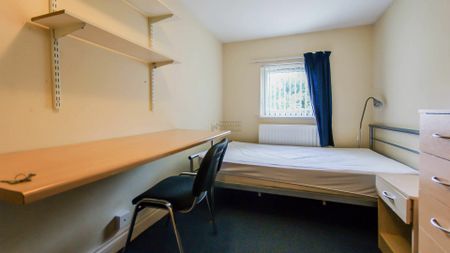 79 Dawlish Road - Photo 2