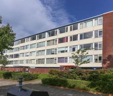Telderslaan 3527 XL Utrecht - Foto 2