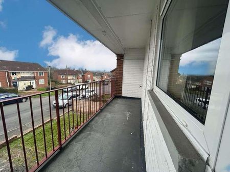 Mincinglake Road, Exeter, EX4 - Photo 5