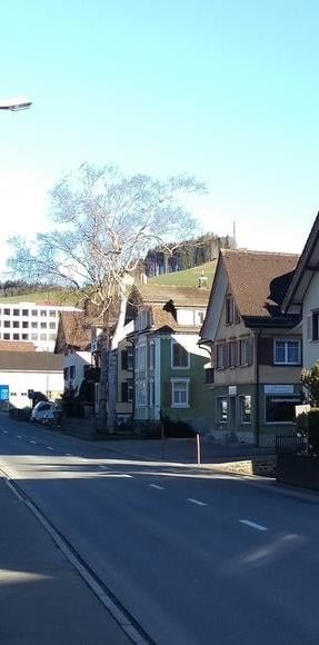 Doppeleinfamilienhaus in Appenzell - Photo 1