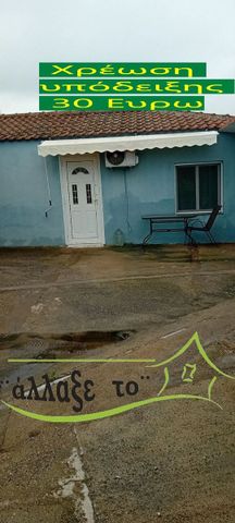Μονοκατοικία για ενοικίαση Κέντρο (Τριγλία) - Photo 3