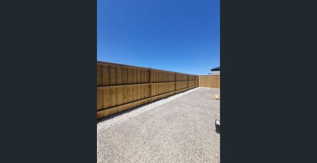 Brand New Luxury Living - Photo 1