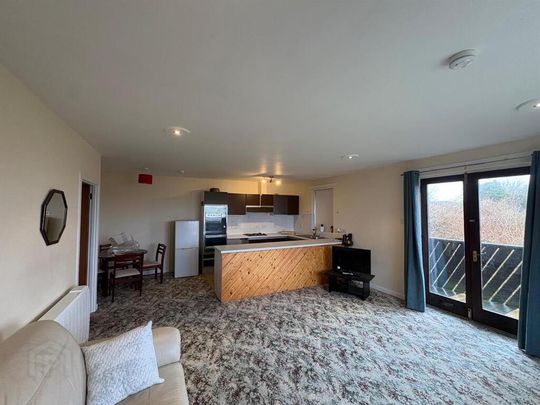 16a Waddells Hill, Comber, BT23 5WJ - Photo 1