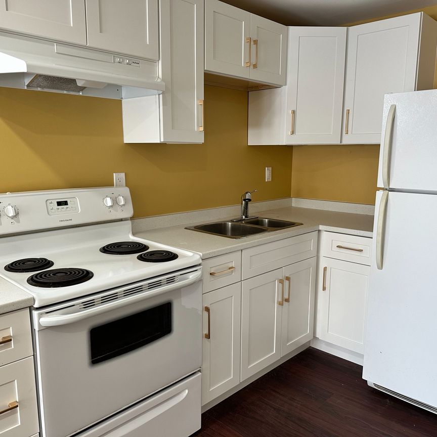 For Lease - 61 Keating Street Unit# Bsmt, Guelph, Ontario - Photo 1