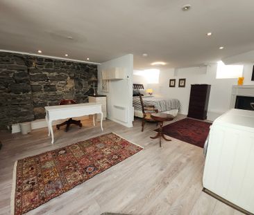 1869 Boul. René Lévesque E., Montréal (Ville-Marie), QC H2K - Photo 3