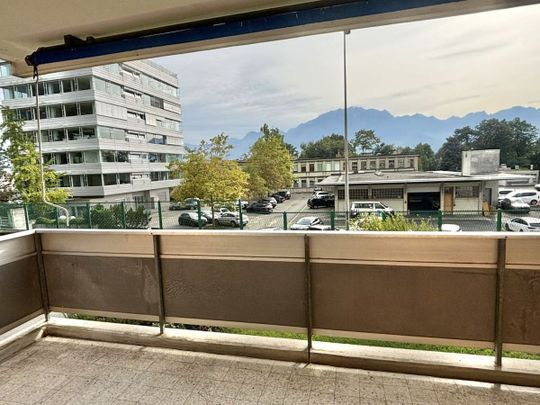 Beautiful 2.5p apartment in Clarens - Foto 1