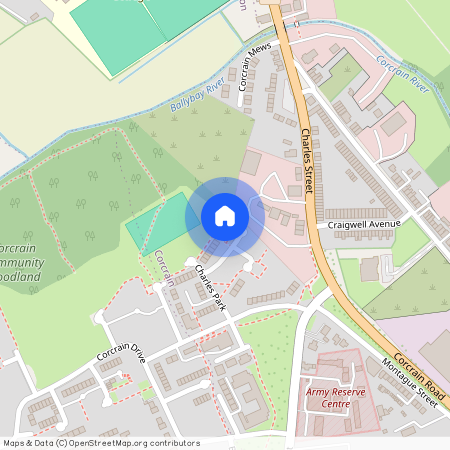 60 Charles Park, Portadown, Craigavon, BT62 4AH