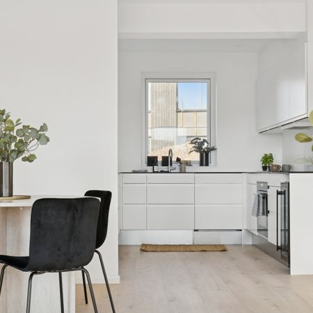 Kregmehusene - Photo 3