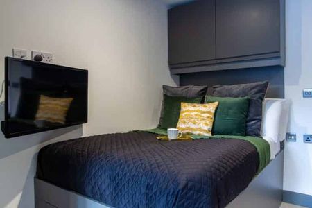 Super Deluxe Studio - Photo 4