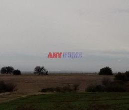 Μονοκατοικία για ενοικίαση - Βασιλικά, - Photo 4