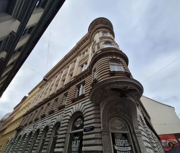 Repräsentativer Stil-TOP-Altbau an der Lackierergasse unbefristet -... - Photo 4