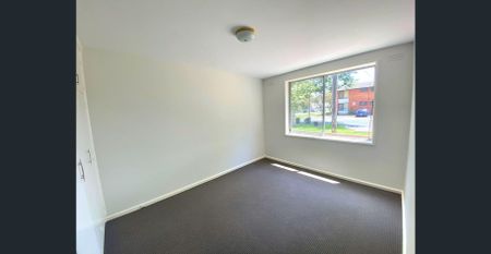 SPACIOUS TWO BEDROOM IN LEAFY TREE-LINED STREET - Photo 3