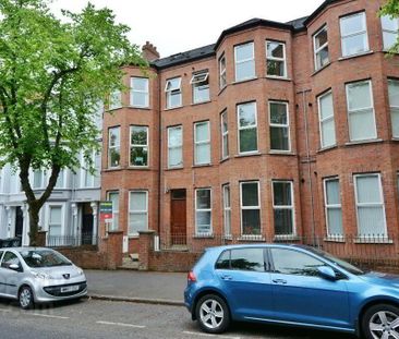 99 Eglantine Avenue, BT9, Belfast - Photo 4