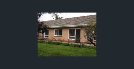 ONE BEDROOM UNIT IN A GREAT LOCATION! - Photo 3