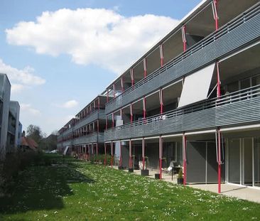 3.5 Zimmer, 78 m², 1. Stock - Photo 4