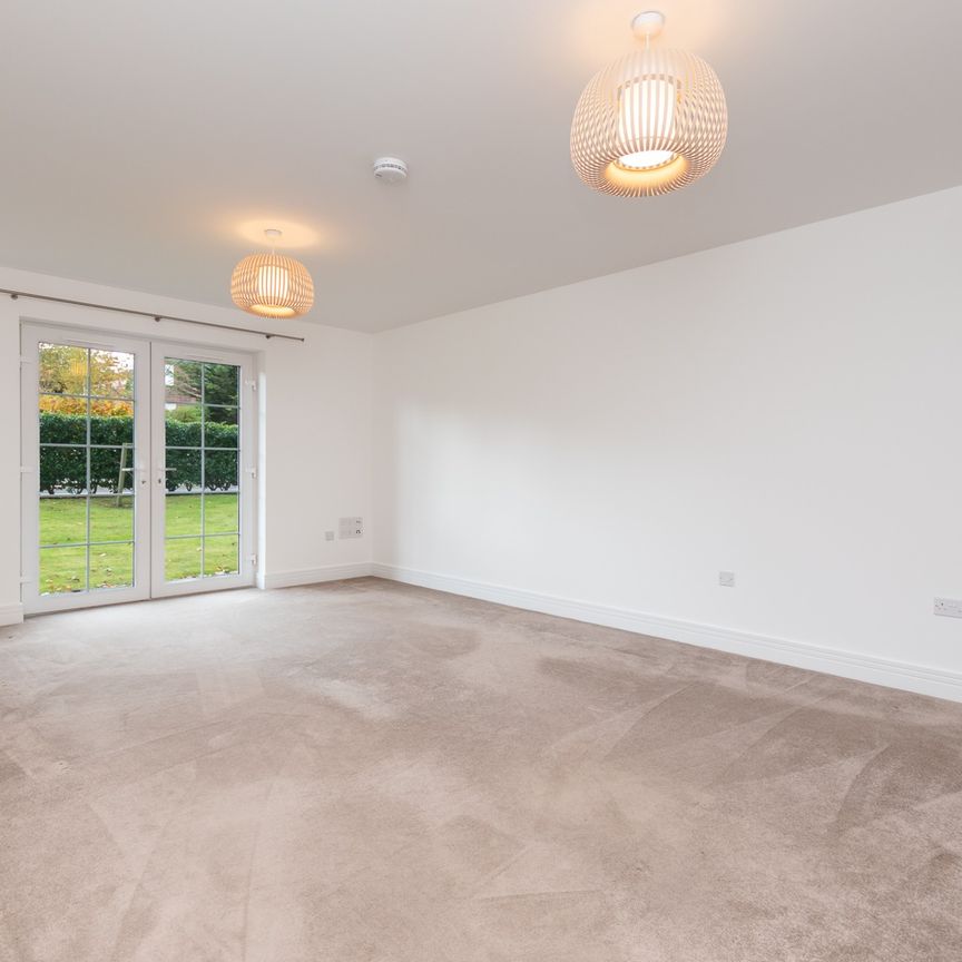 Alexander Grove - Photo 1