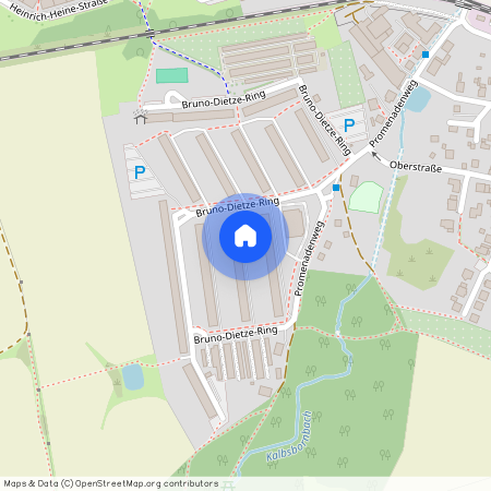 Bruno-Dietze-Ring, 01844 Sachsen - Neustadt