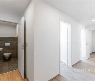 Pronájem nového bytu 3+kk v projektu Ekocity Hostivař se sklepem a ... - Photo 5