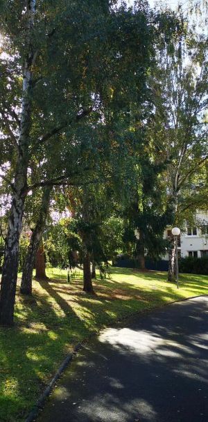 Appartement à louer 4 pièces 77.68m² - Photo 1