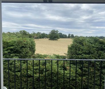 3 bedroom house to rent - Photo 4