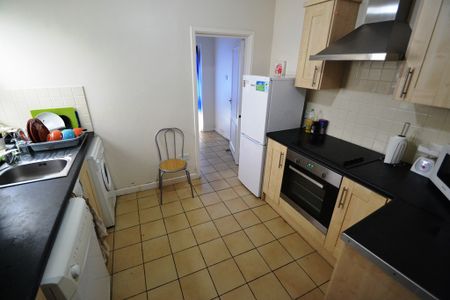 Merthyr Street, Cathays - Photo 4