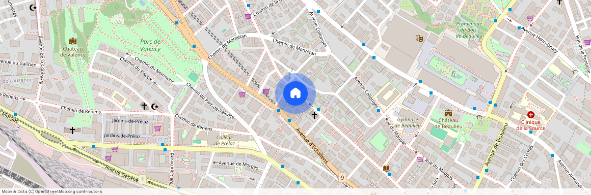 1004, Lausanne, Avenue De France, 47