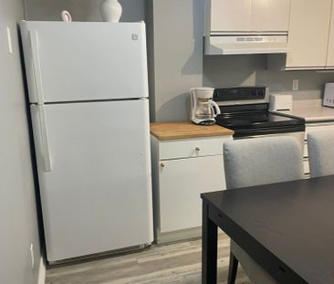 For Lease - 102 Church Street Unit# lower, Richmond Hill, Ontario - Photo 6