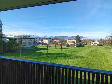 Großzügiges 1-Zimmer-Appartement mit Blick ins Grüne - Foto 4