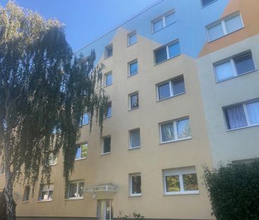 Komplett instand gesetzte Wohnung in Randlage von Halle-Neustadt, i... - Photo 5