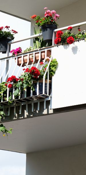 Norra Kungsgatan 37, våning 2 - Foto 1