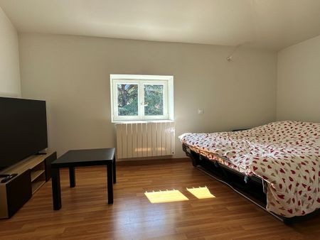 Location Appartement 1 pièce 29m² COUZON AU MONT D OR 69270 - Photo 4