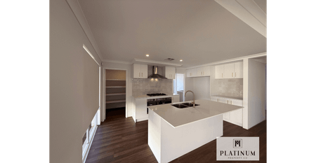 Spacious Modern Home - Photo 4