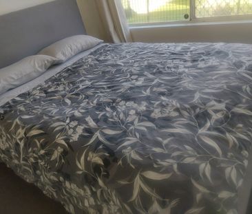 Marangaroo - Photo 4