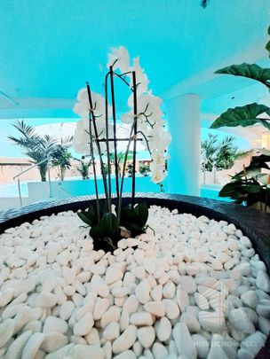 Apartament z balkonem w Hanza Tower - Photo 1