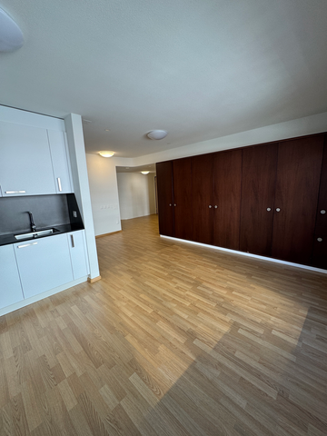 GERÄUMIGE 4.5-ZIMMER-WOHNUNG IM HERZEN VON BASEL - Foto 3