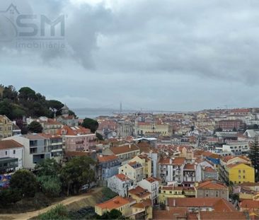 Apartamento T1 - Photo 3