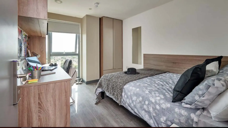 Trinity View, Property for rent - Photo 2