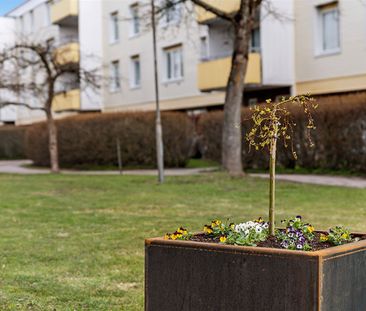 Sommarvägen 11 A - Photo 4